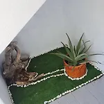بيت للعطل Refugio Regadinhas *